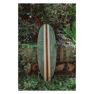 גלשן איזון לונגבורד מבית Ezoon ישראל