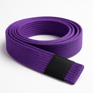 חגורה לאימוני גיאו גיטסו 251133 בצבע סגול מבית VENUM